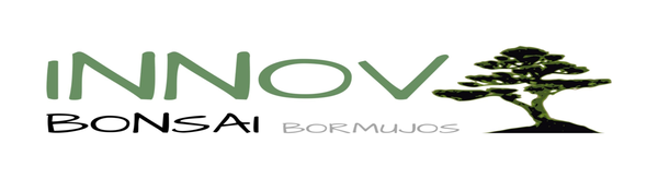 Logo de Innova Bonsái