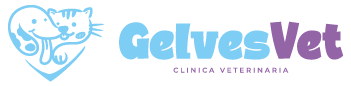 Logo de Gelvesvet